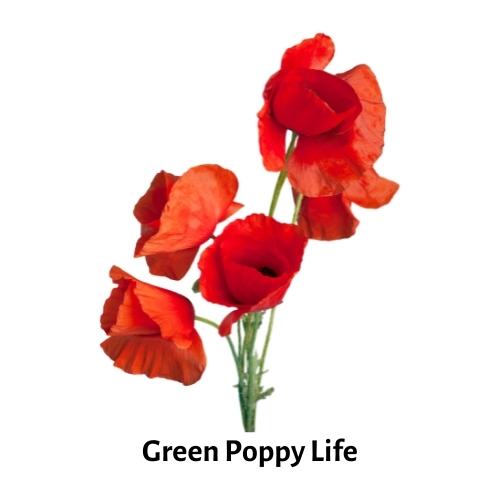Green Poppy Life LOGO
